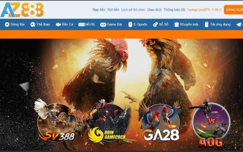 GA28 là một trong những sảnh cược đá gà tại AZ888a